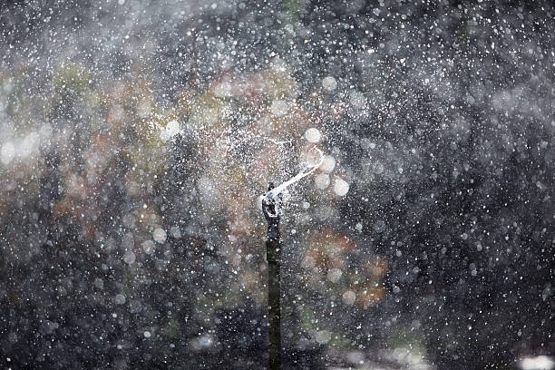 istock silhouette of water sprinkler and bokeh 533039310