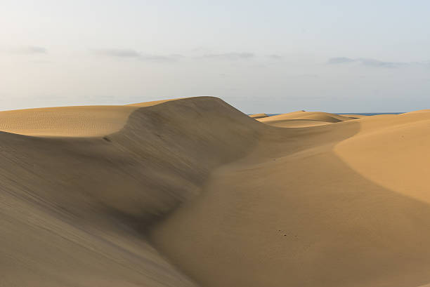 istock Desert with sand dunes in Gran Canaria, Spain 533040432