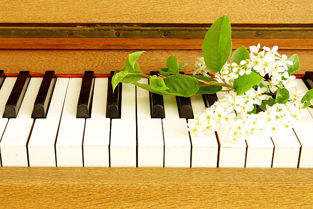 Close up image of piano keys and locking key.