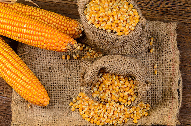 istock Dried corn in sackbag on wooden table 533043466