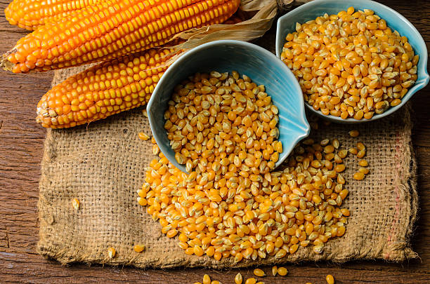 istock Dried corn in blue ceramic bowl on wooden table 533043962