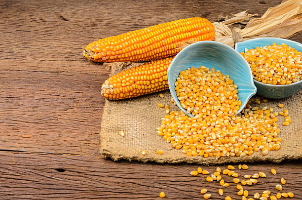 istock Dried corn in blue ceramic bowl on wooden table 533044038