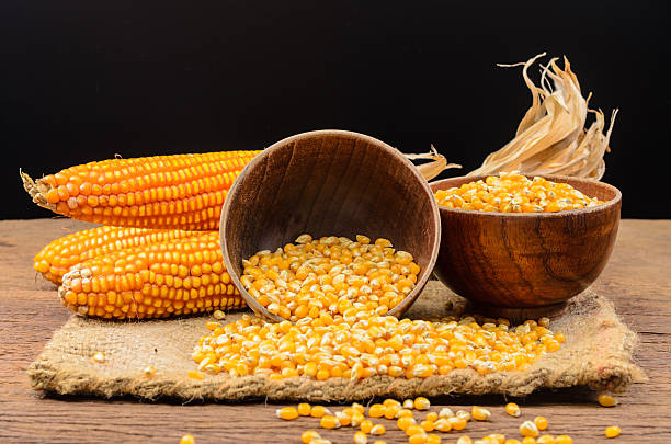 istock Dried corn seed in wooden bowl on wooden table 533044090