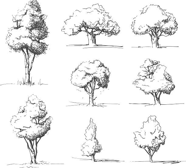Tree sketches set vector art illustration