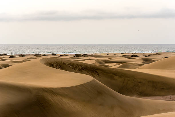 istock Desert with sand dunes in Gran Canaria, Spain 533047068