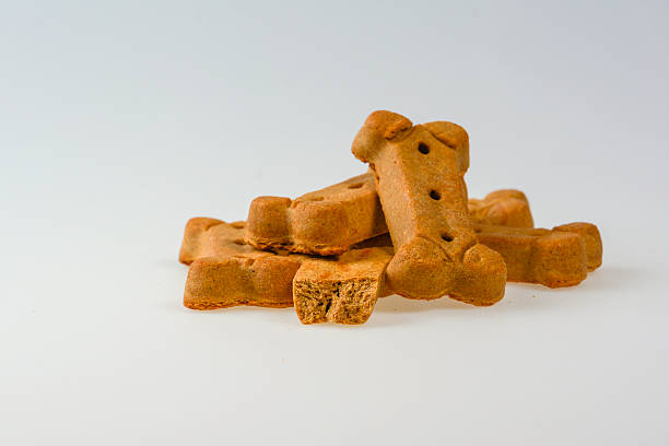 istock Dog Treats isolated on white 533048275