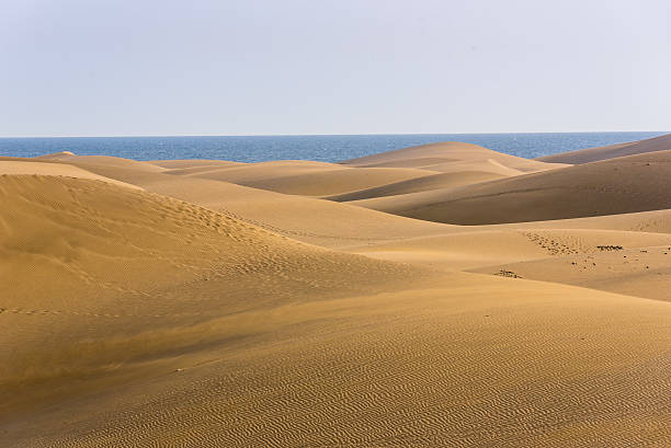 istock Desert with sand dunes in Gran Canaria, Spain 533048326