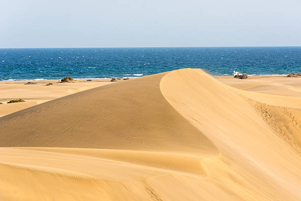 istock Desert with sand dunes in Gran Canaria, Spain 533048470