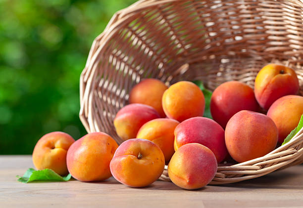istock basket with ripe apricots 533050026