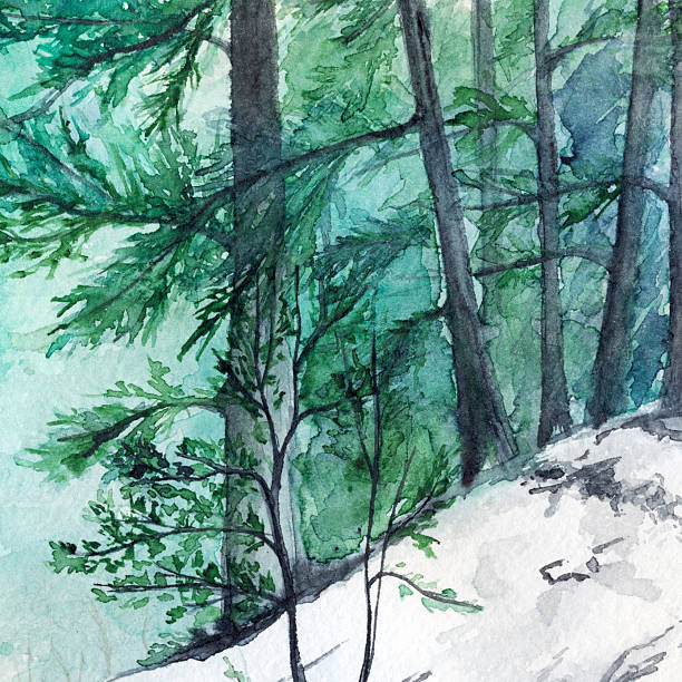 istock Watercolor turquoise winter wood forest pine landscape 533050844