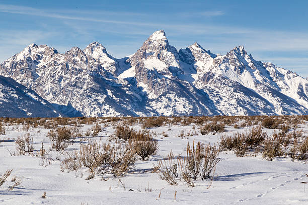 istock The Grand Teton 533050893