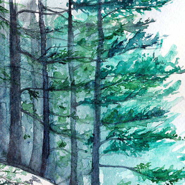 istock Watercolor turquoise winter wood forest pine landscape 533050944