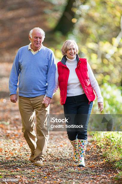 Senior Couple Walking Through The Woods Stock Photo - Download Image Now - 2015, 70-79 Years, Active Lifestyle