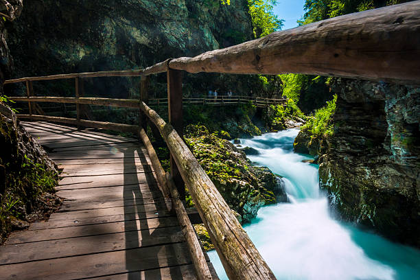 istock Vintgar gorge, Slovenia 533052736