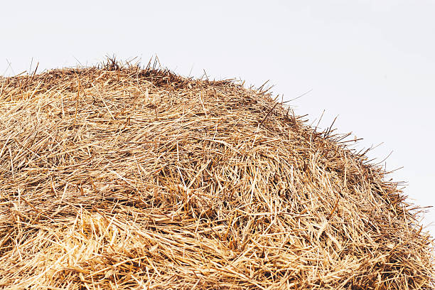 istock hay in village 533052998