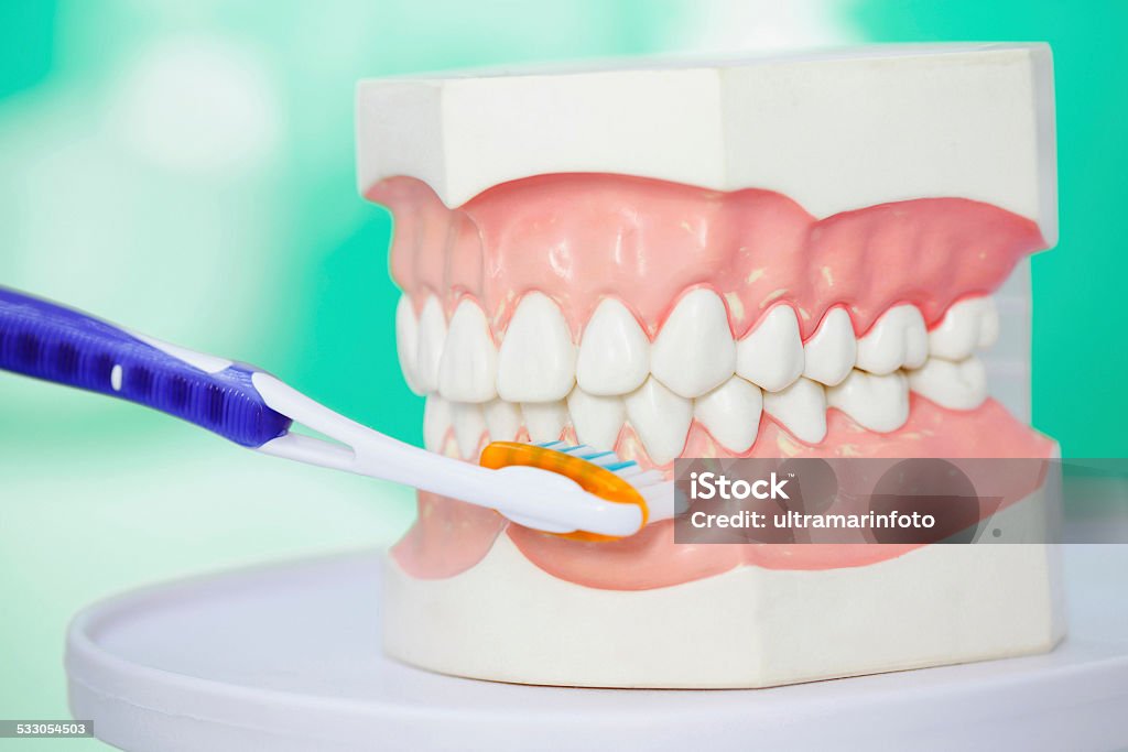 Dental Hygiene  Demonstration correct tooth brushing Dentistry. Dental Hygiene,  education. Demonstration correct tooth brushing on  a dental model.  Selective focus. Very shallow depth of field for soft background. 2015 Stock Photo