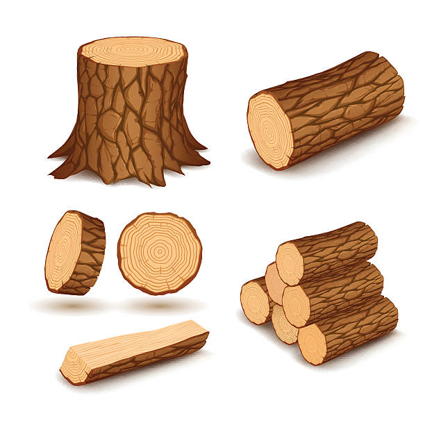 ilustrações, clipart, desenhos animados e ícones de elementos de madeira - bark isolated part of white