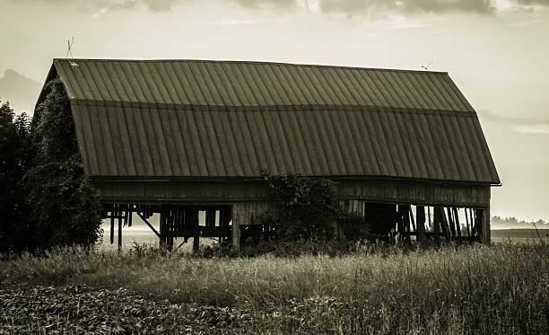 死亡家族の農場 - nebraska midwest usa small town america landscape ストックフォトと画像