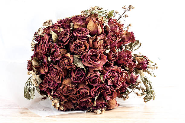 istock dry rose on wood table for background 533056968