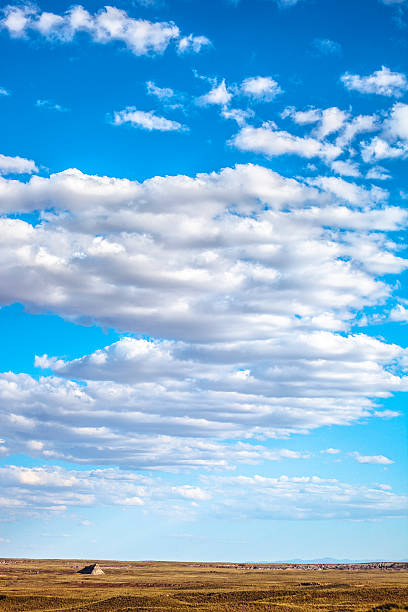 istock Arizona desert landscape. 533058838