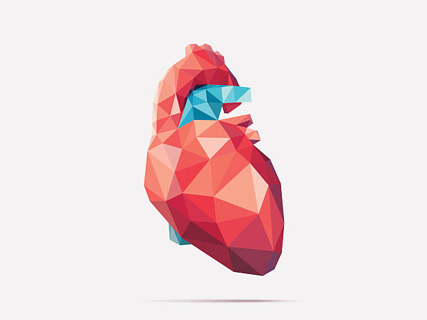 Heart poly faceted Illustration of human heart with faceted low-poly geometry effect low poly modelling illustrations stock illustrations