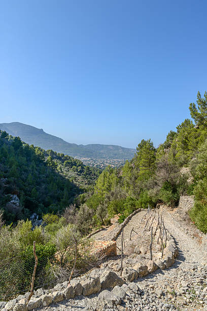 istock hiking path in the beautiful nature of mallorca 533068946