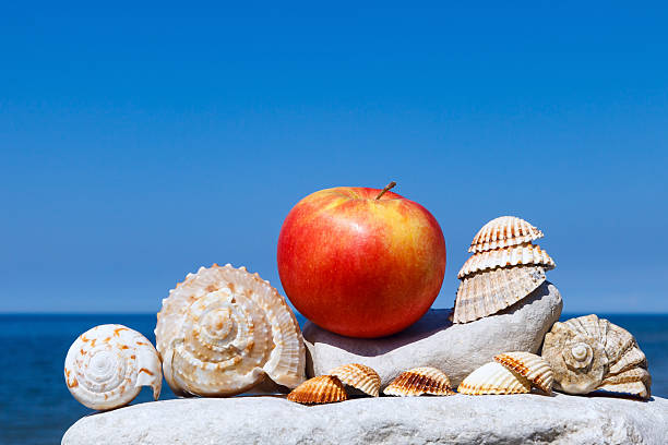 exotic seashells and apple on background of summer sea