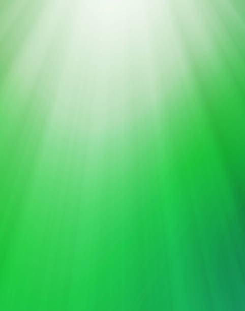 istock Natural green abstract background with lights 533070139