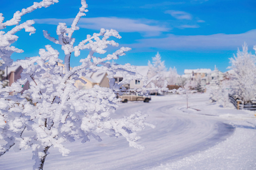 Winter scenic in Colorado, USA