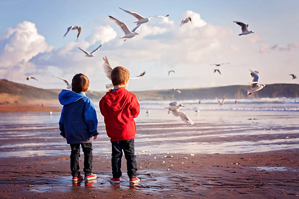 Two adorable kids, feeding the seagulls on the beach