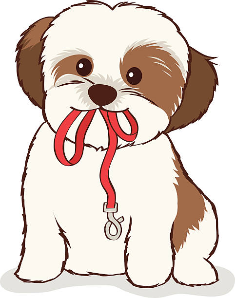 Shih Tzu Puppy with leash in mouth vector art illustration