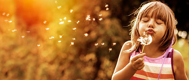 istock Little girl blowing a dandelion 533073319