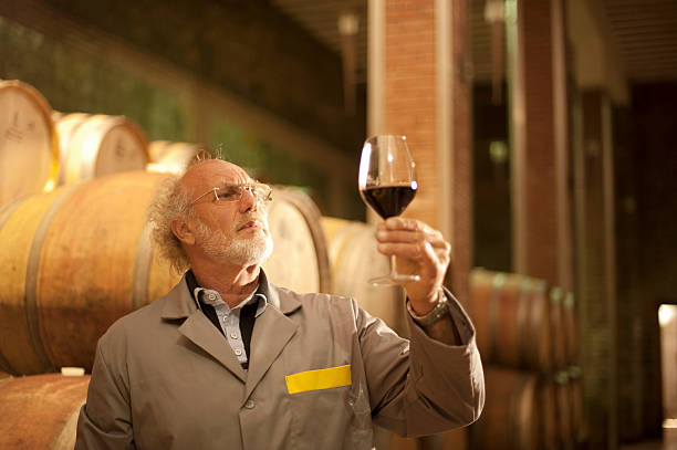 Senior Man with Beard Holding Glass of Red Wine Senior man with white beard and glasses drinking and tasting red wine in winery cellar. Selective focus. Indoors horizontal color image. Slovenia, Europe. wine producer stock pictures, royalty-free photos & images