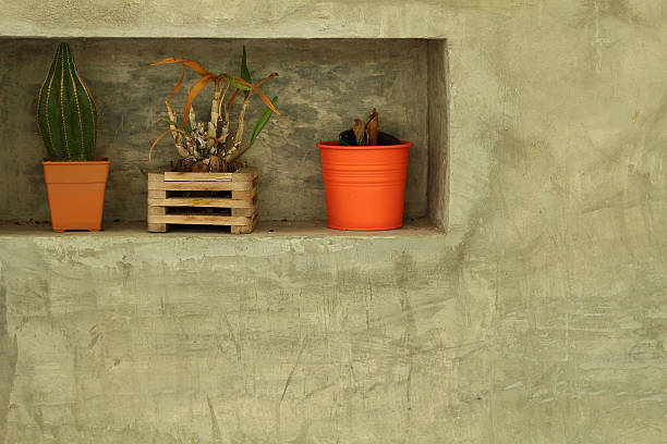 istock Potted plants for home decoration Modern Style 533074247