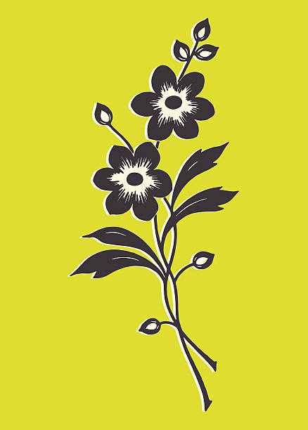 bukiet kwiatów - leaf green backgrounds flower stock illustrations