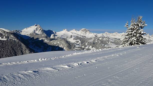 inverno paesaggio vicino gstaad - bernese oberland gstaad winter snow foto e immagini stock