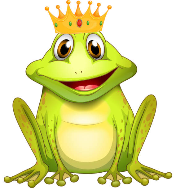 ilustrações de stock, clip art, desenhos animados e ícones de rã - white background close up frog amphibian