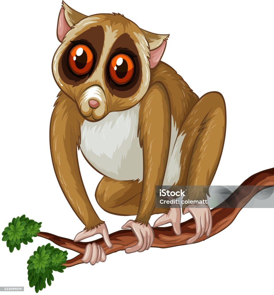 Loris Easy Loris Stock Illustration - Download Image Now - Slow Loris, 2015 ...