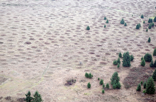The strange land formations known as the Mima Mounds in Washington State. Although accounts vary, most believe the mounds were formed by glacial activity.