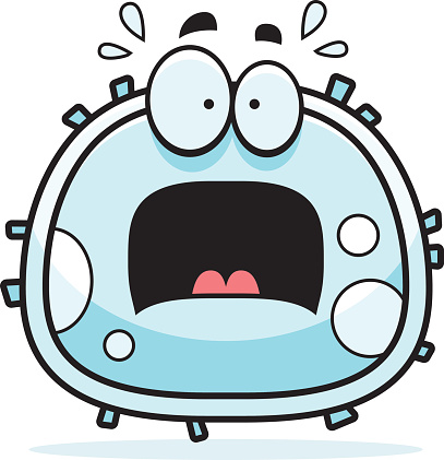 A cartoon illustration of a white blood cell looking scared.
