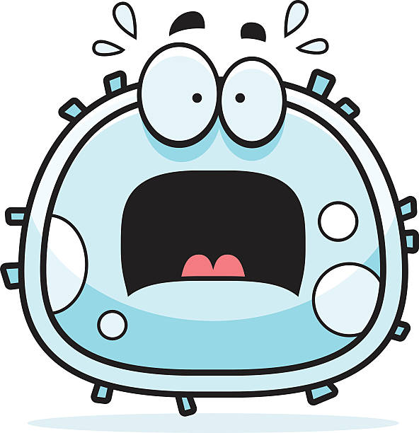 Cell Scared 460+ White Blood Cells Cartoons Stock Photos, Pictures & Royalty-Free ...