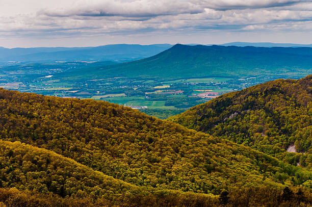 на massanutten пик и долины шенандоа с видом на очертания города - blue ridge mountains appalachian mountains appalachian trail skyline drive стоковые фото и изображения