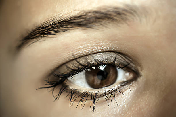 istock Brown Eye Makeup. Beautiful Eyes Make-up. Macro 533103105