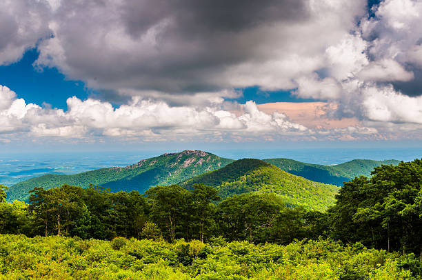 vista della vecchia strada di montagna di pezza da point in shenandoa - blue ridge mountains appalachian mountains appalachian trail skyline drive foto e immagini stock