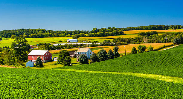 blick auf einem bauernhof im ländlichen york county, pennsylvania. - pennsylvania stock-fotos und bilder