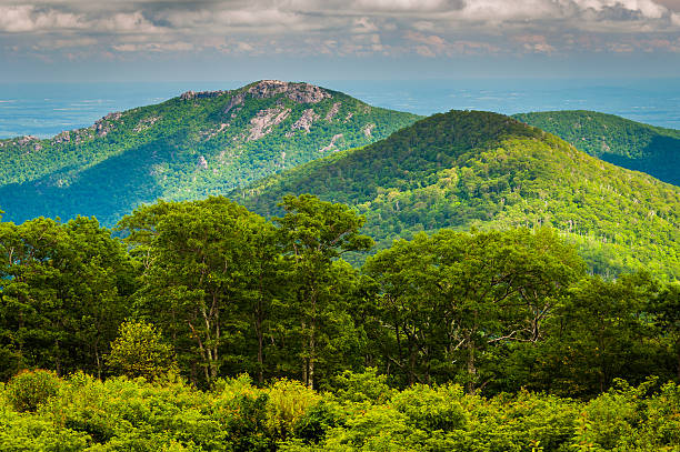 вид на старый rag горы из окон в shenandoa путь сообщения - blue ridge mountains appalachian mountains appalachian trail skyline drive стоковые фото и изображения