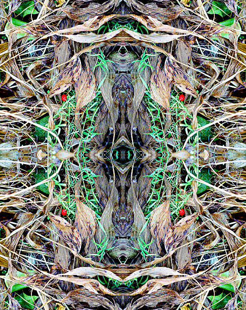 istock an abstract pattern of leaves and grass 533130243