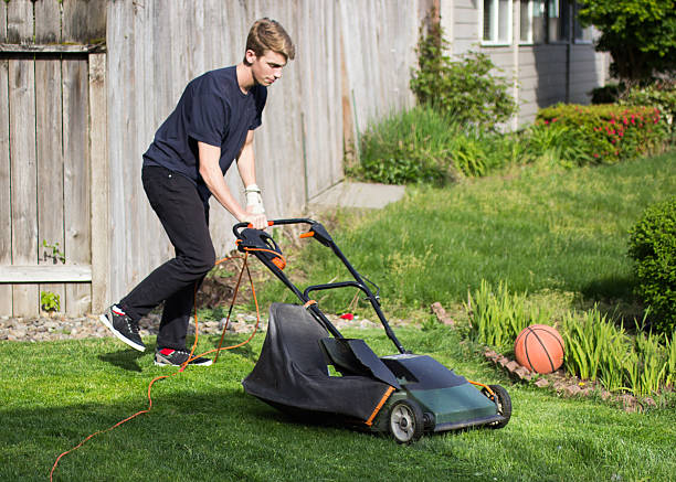 芝刈りの芝生には、電動芝刈り機 - basketball teenager nature outdoors ストックフォトと画像