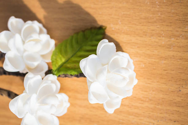 istock Flowers made of shell. 533131029