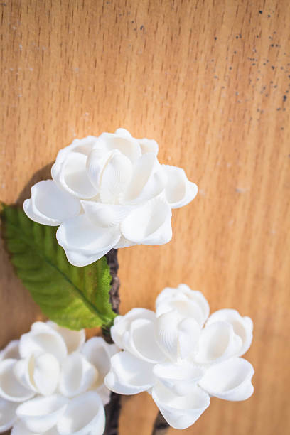 istock flowers made of shells. 533131031